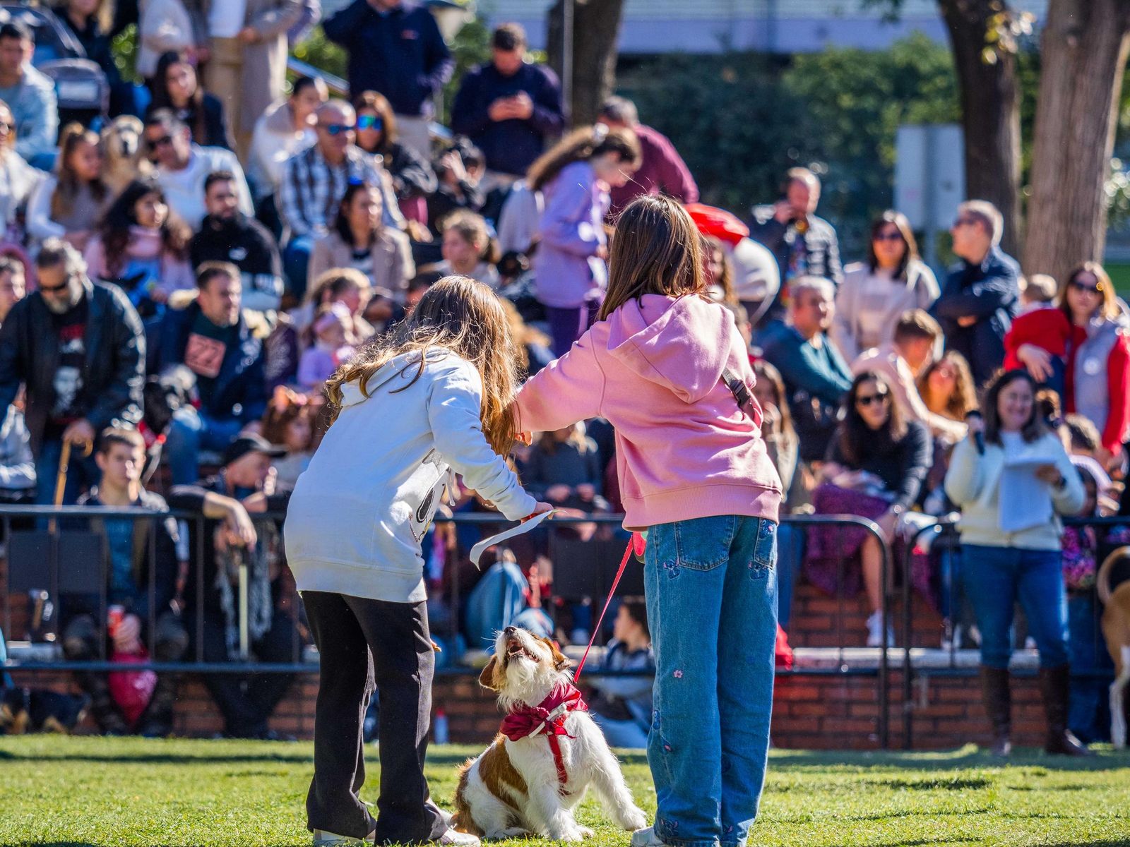 Las imágenes de San Antón 2025 en San Fernando