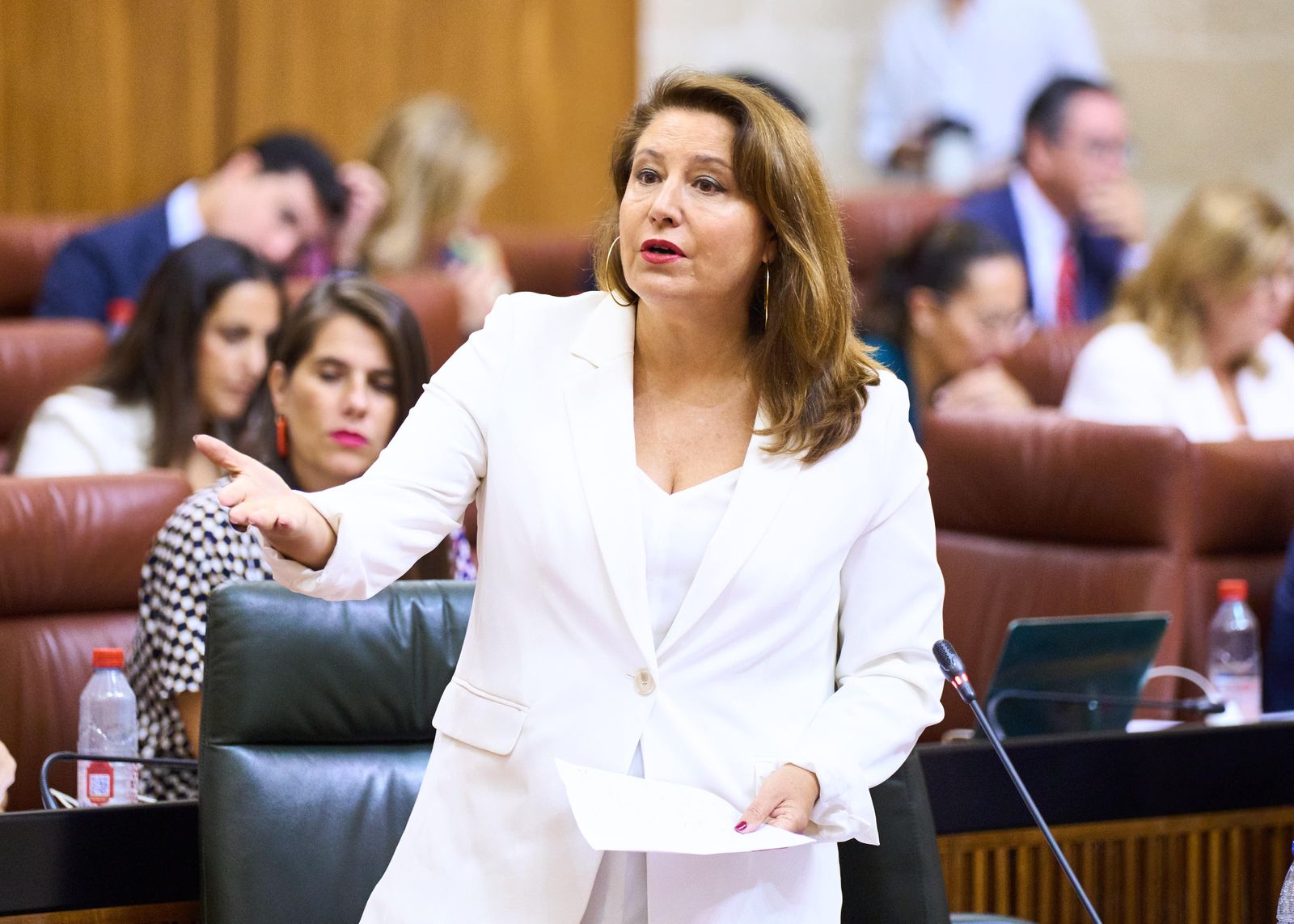 Carmen Crespo hoy en el Parlamento Andaluz.