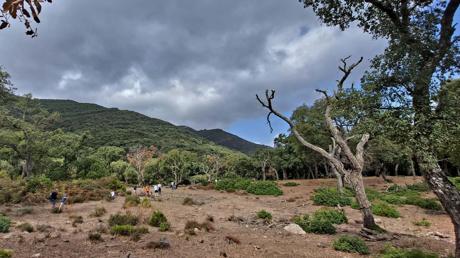 Fotos del sendero de la garganta del Rayo en Tarifa