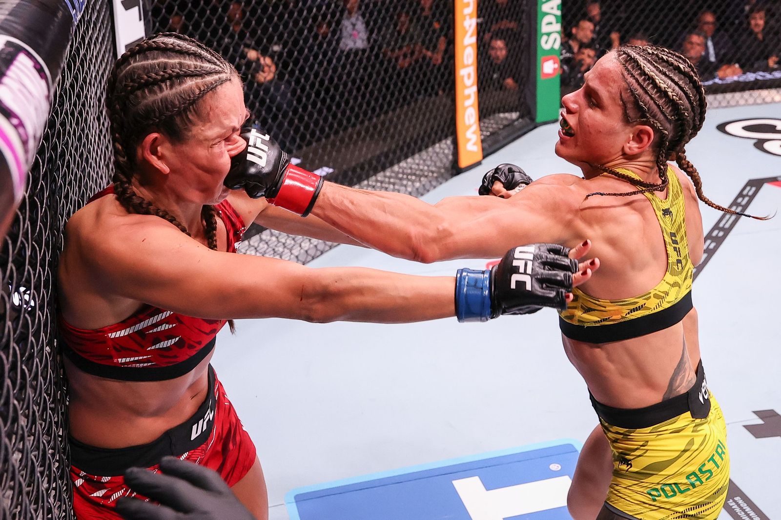 Artes marciales | Finishing Left