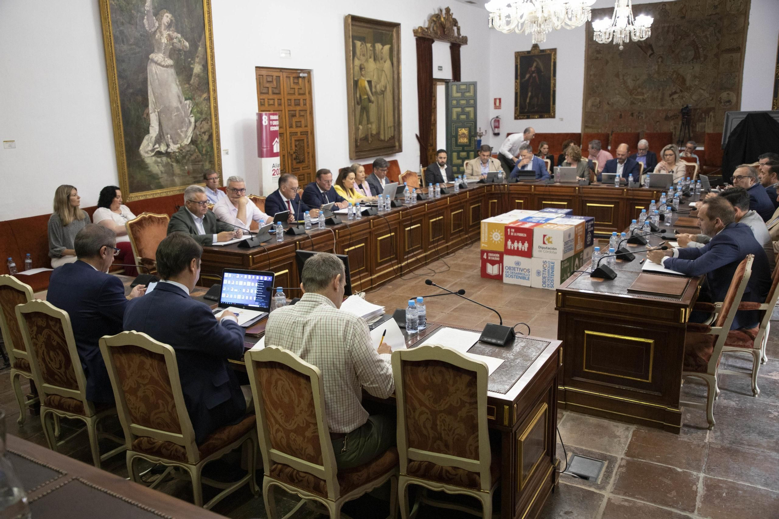 El Pleno de la Diputación de Córdoba.
