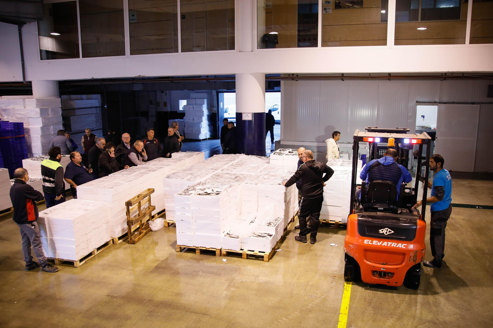 Te contamos en imágenes como ha sido la descarga de las traiñas en la lonja de Almería