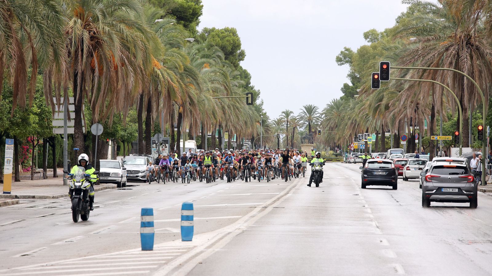 Búscate en la ruta ciclista por Jerez de 'bici amistad'