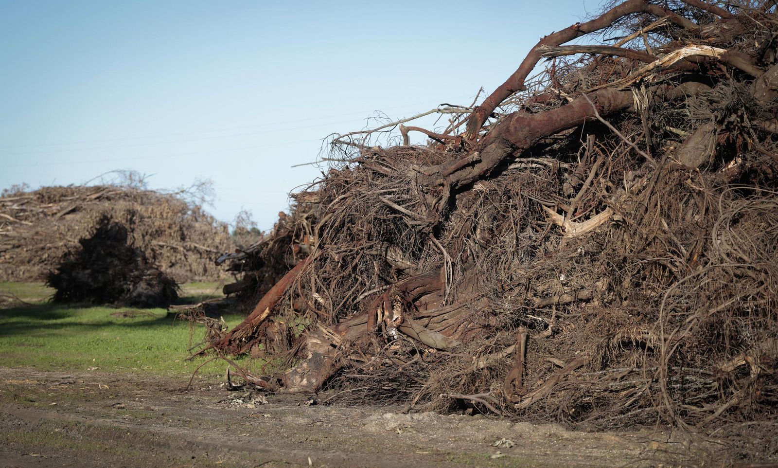 La renaturalización de Los Mimbrales: imágenes de la transformación del espacio natural