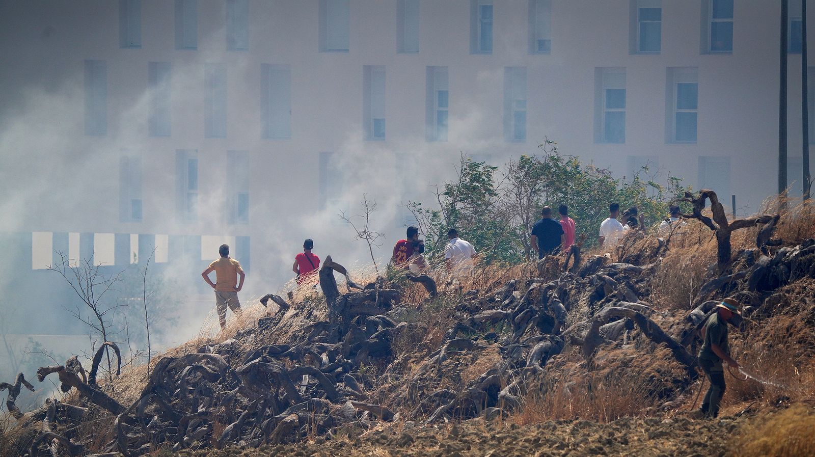 El fuego llega a las  casapuertas en Jerez