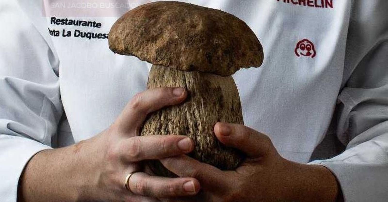 Temporada de setas en el Restaurante La Duquesa