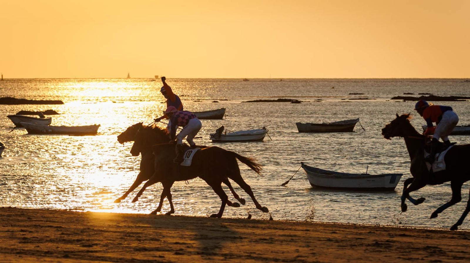 Última jornada de las Carreras de Caballos en Sanlúcar