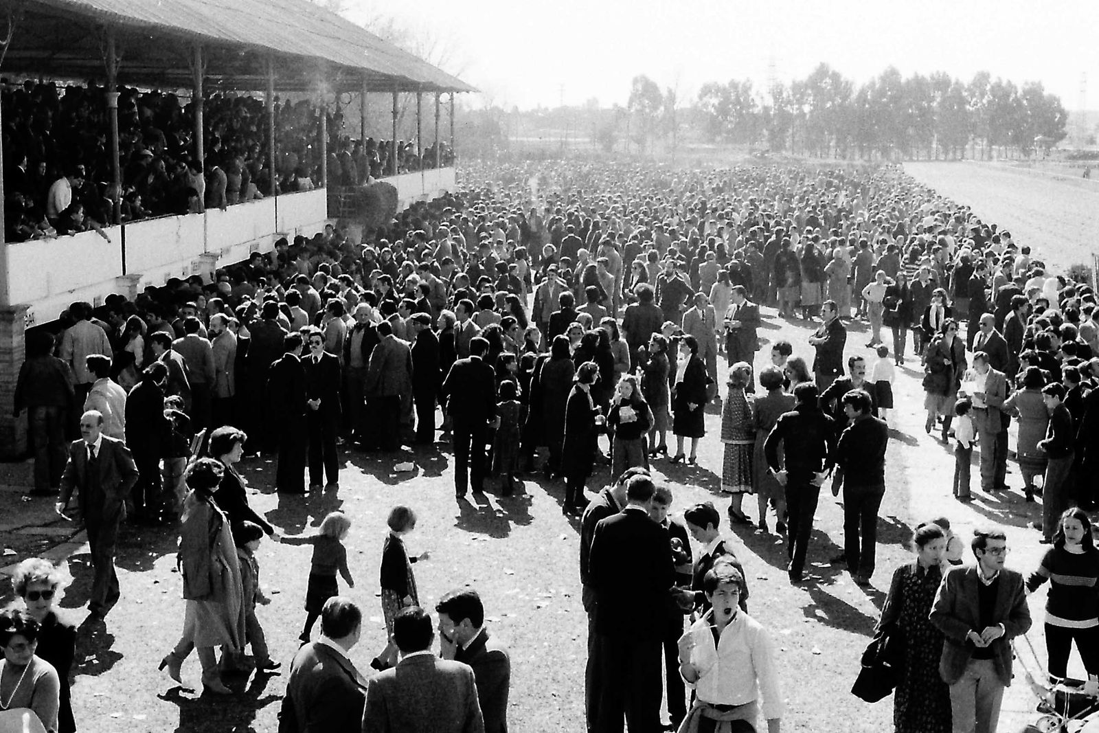 75 aniversario del hipódromo de Pineda