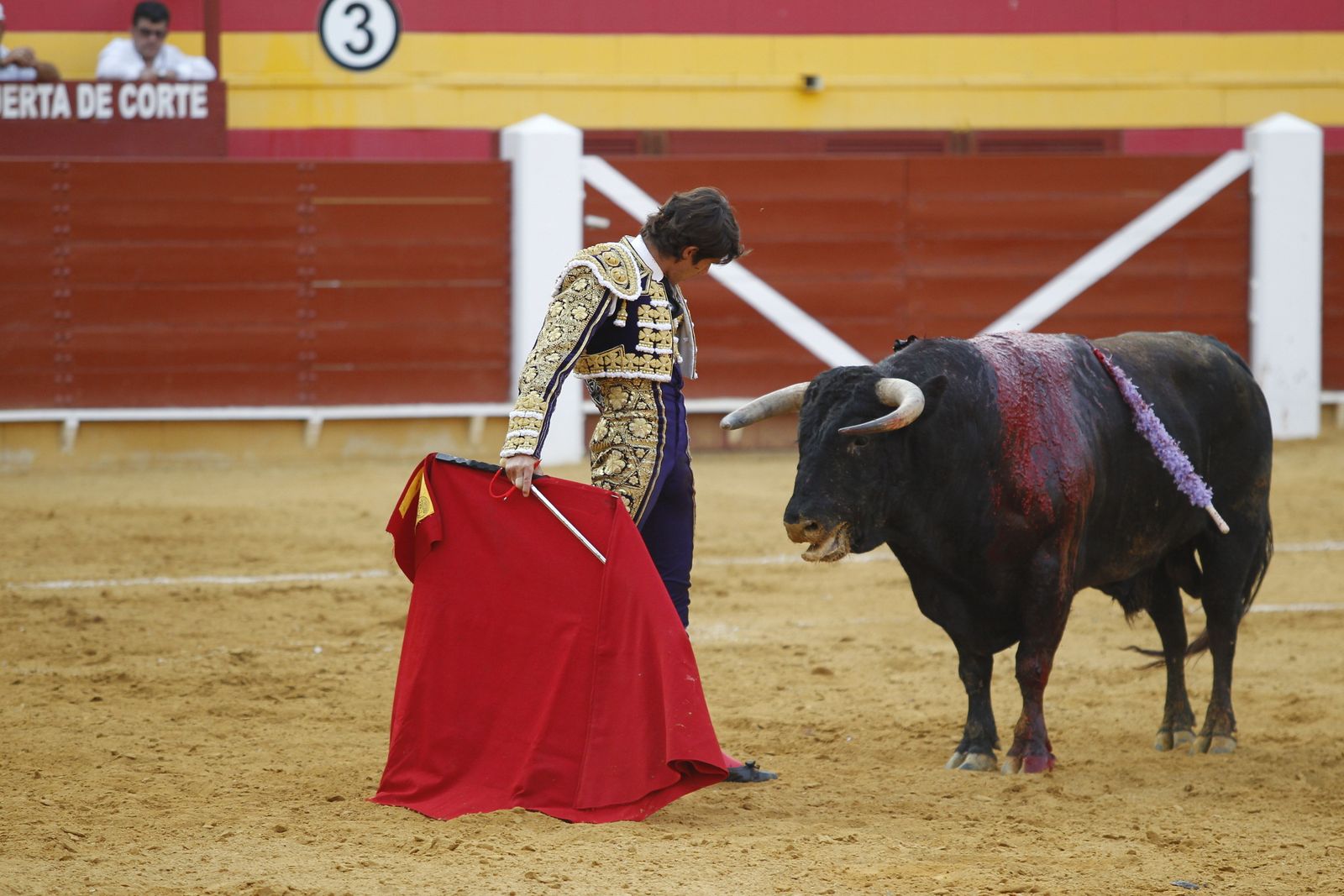 Fotogalería corrida de toros Roquetas de Mar. El Fandi, Castella, Cayetano.