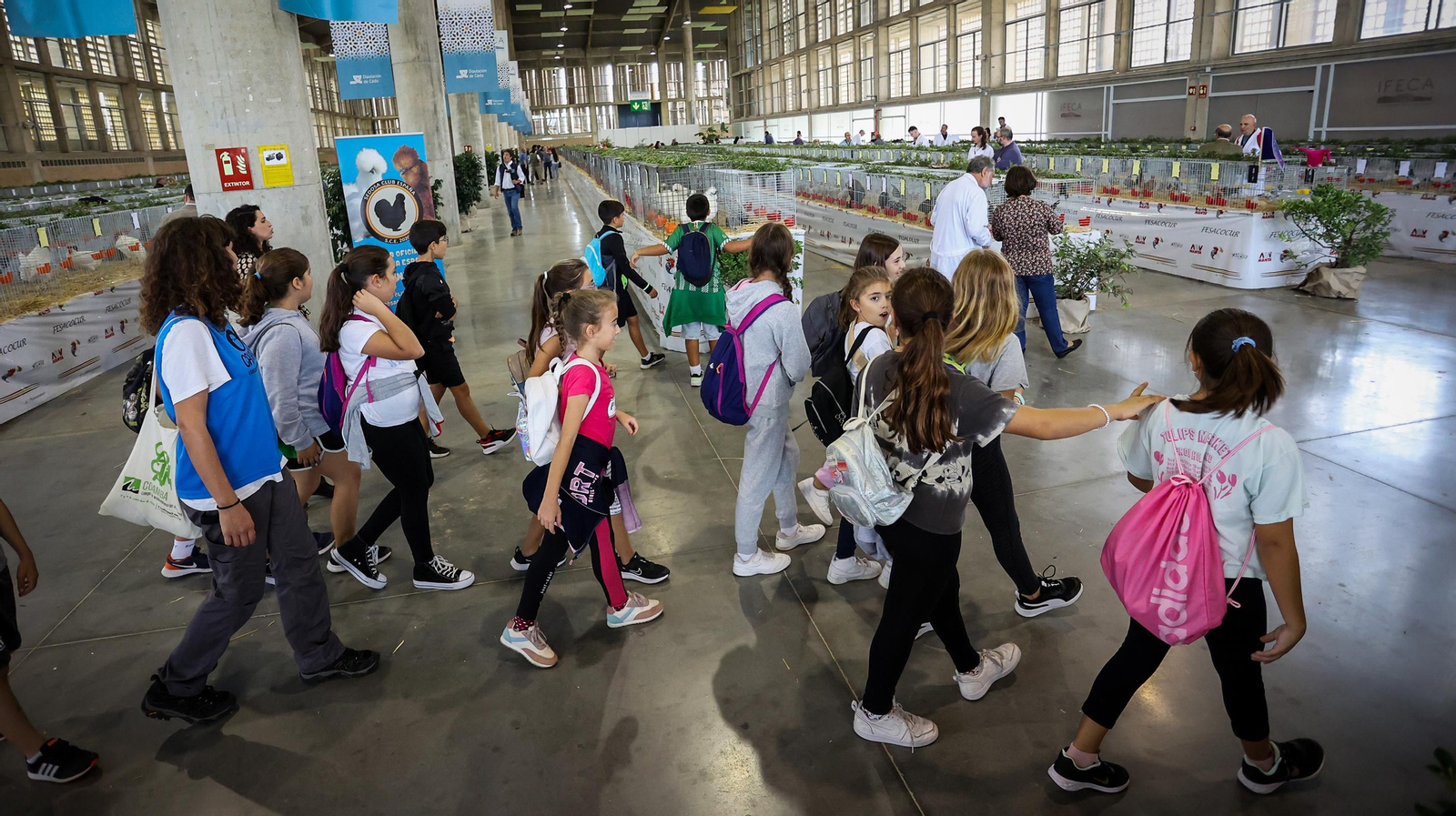 Comienza la feria de la ganadería y la agricultura en IFECA