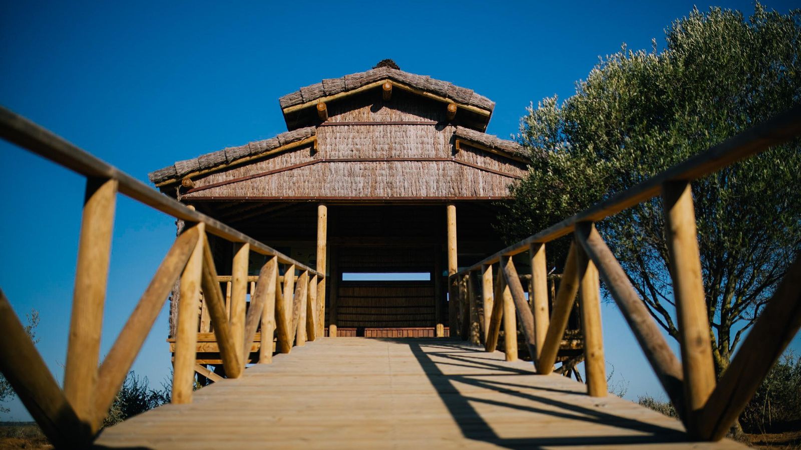 Mirador del Águila Pescadora en Marismas del Odiel