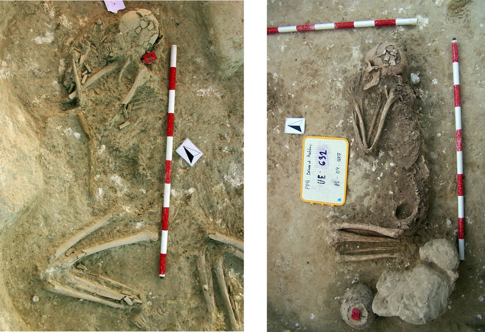 Esqueletos de personas halladas en Valencina.