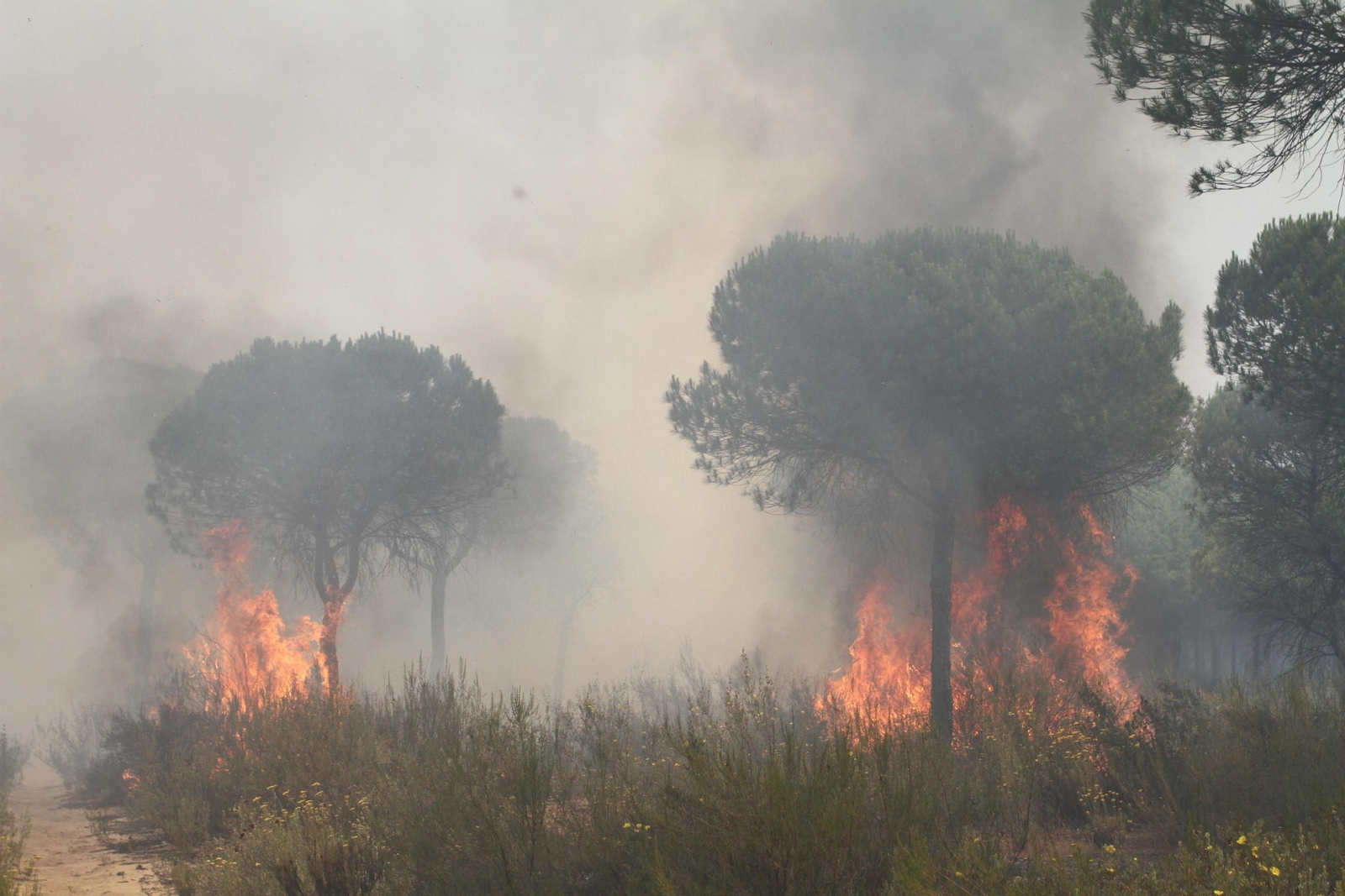Las imágenes del incendio en Moguer y Mazagón