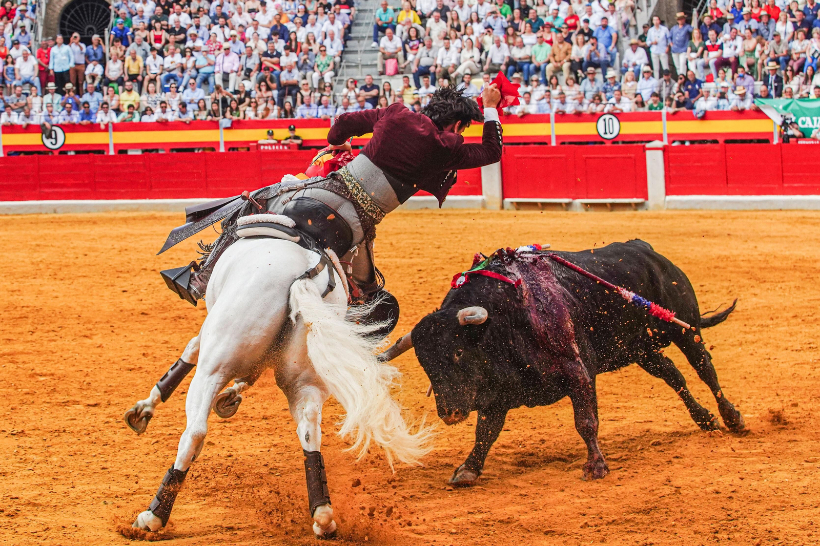 Una gran tarde de rejoneo, en imágenes