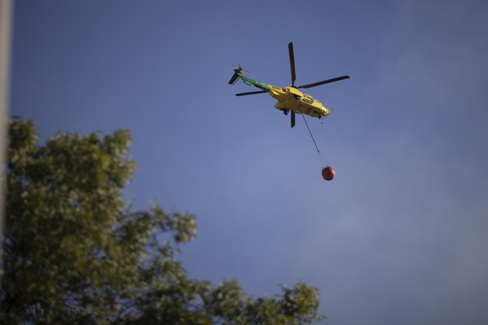 Imágenes del incendio de Bonares