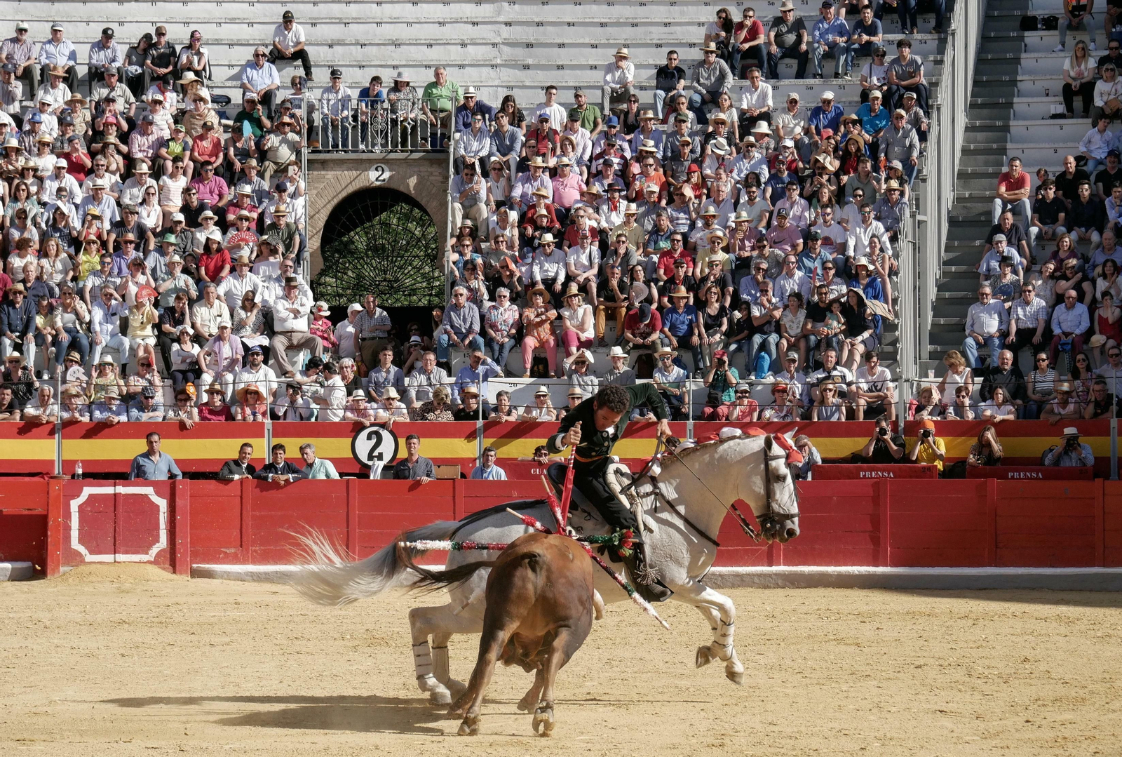Festival taurino a beneficio de Down Granada