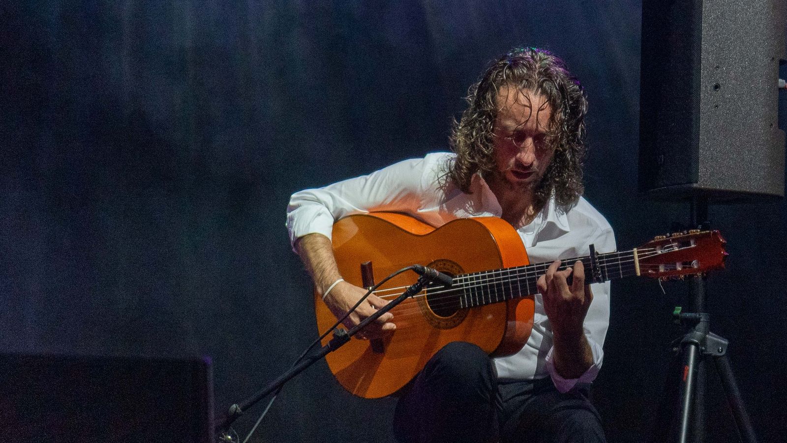 Noche flamenca en Algeciras