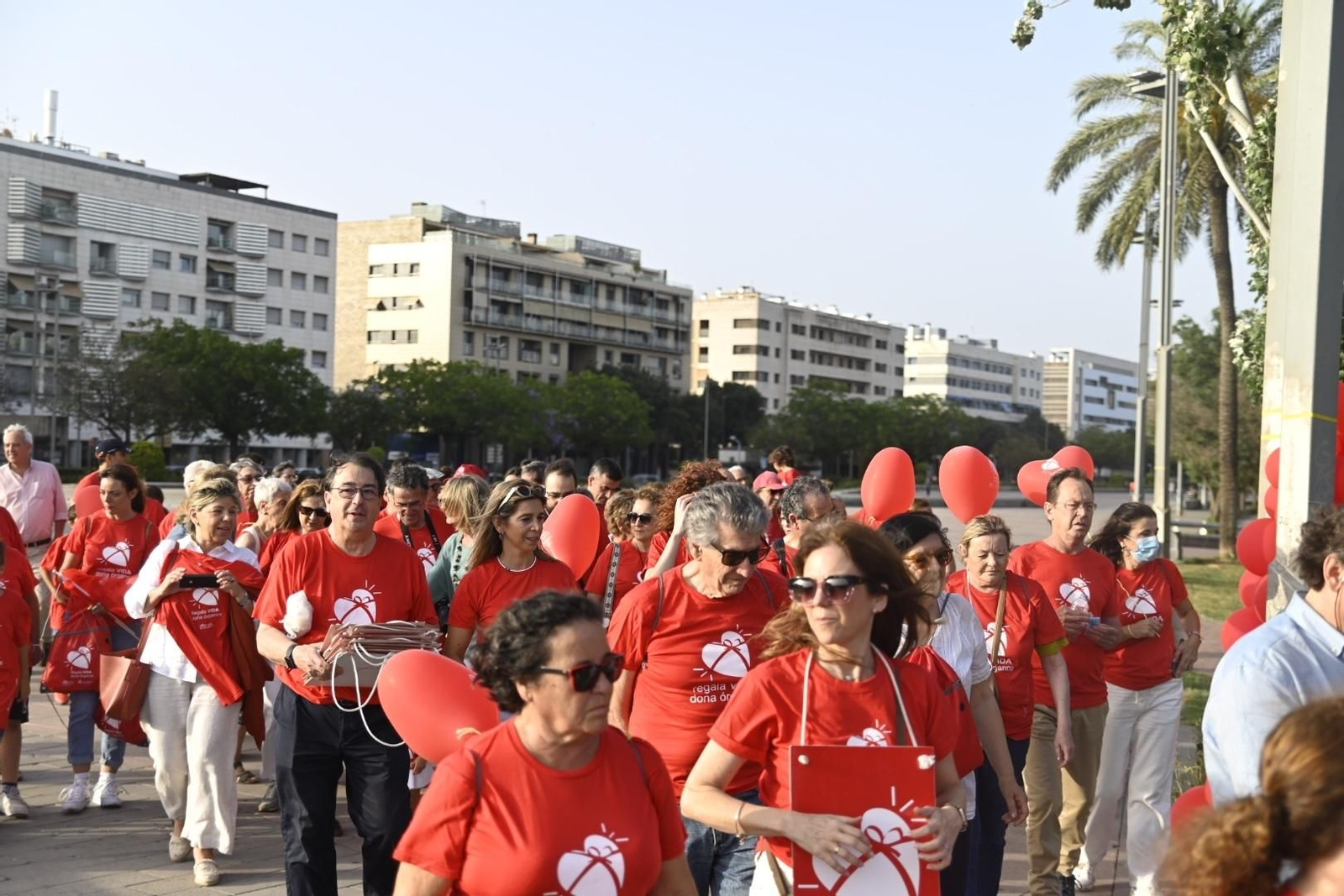 Las mejores fotos de la marcha que cierra la XXII Semana de la Donación en Córdoba