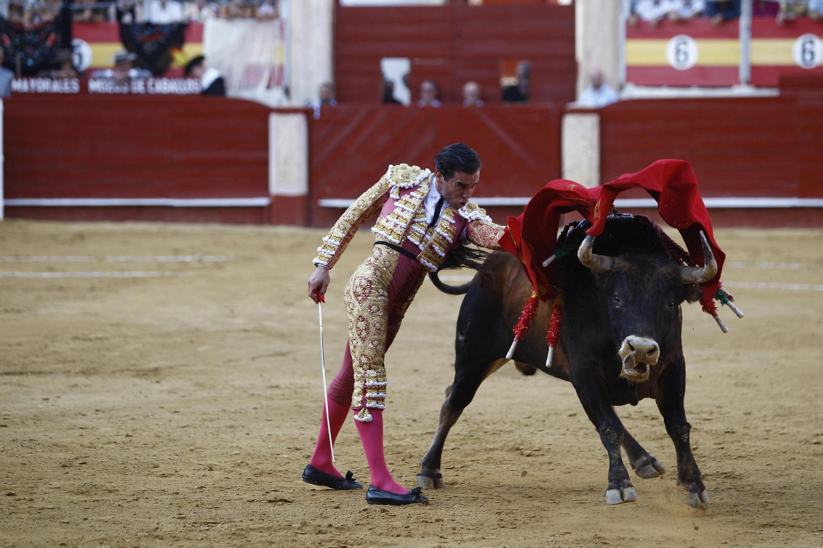 Las mejores imágenes de los toreros Fortes, Juan Ortega y David de Miranda en la Feria de Almería 2025