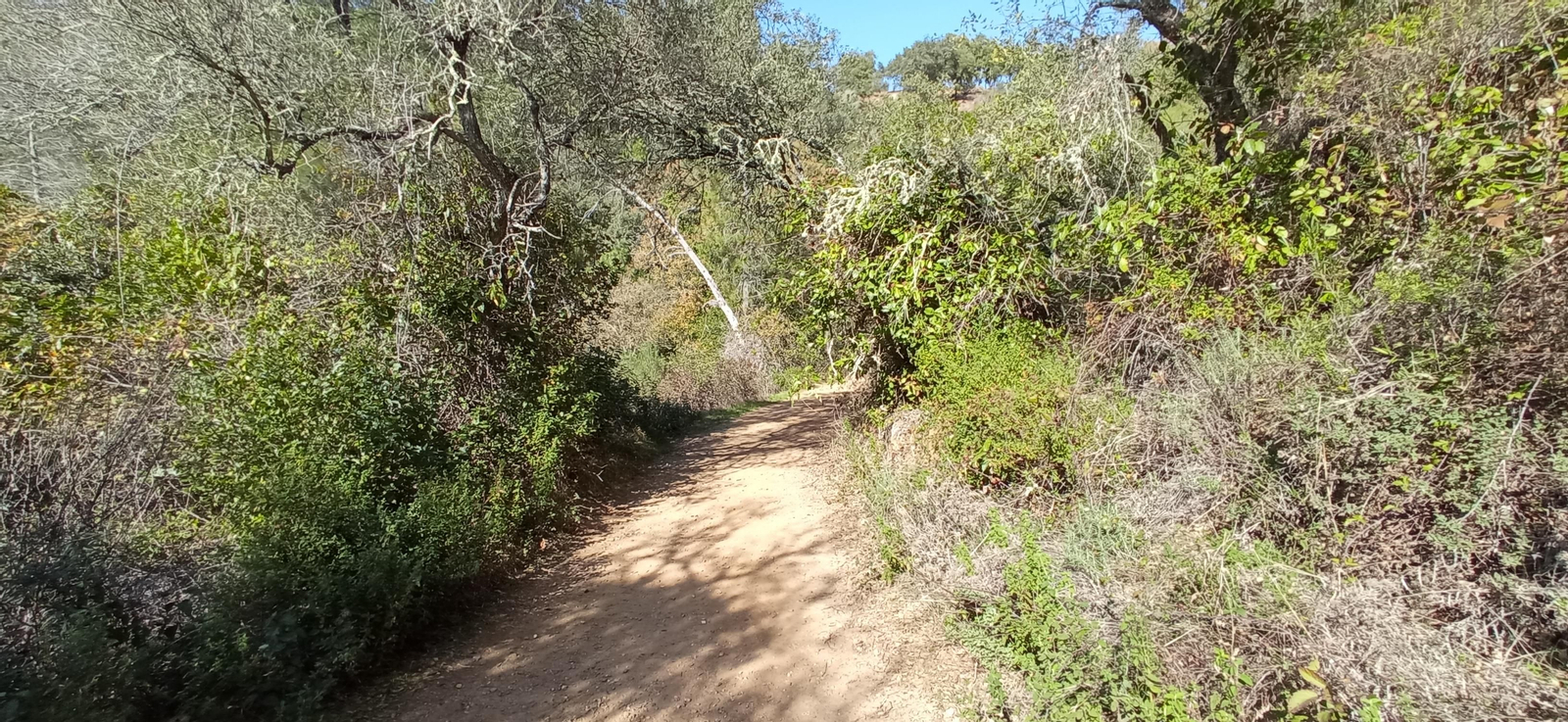 Las imágenes de la ruta de la cascada de Jollarancos y bosque de las letras