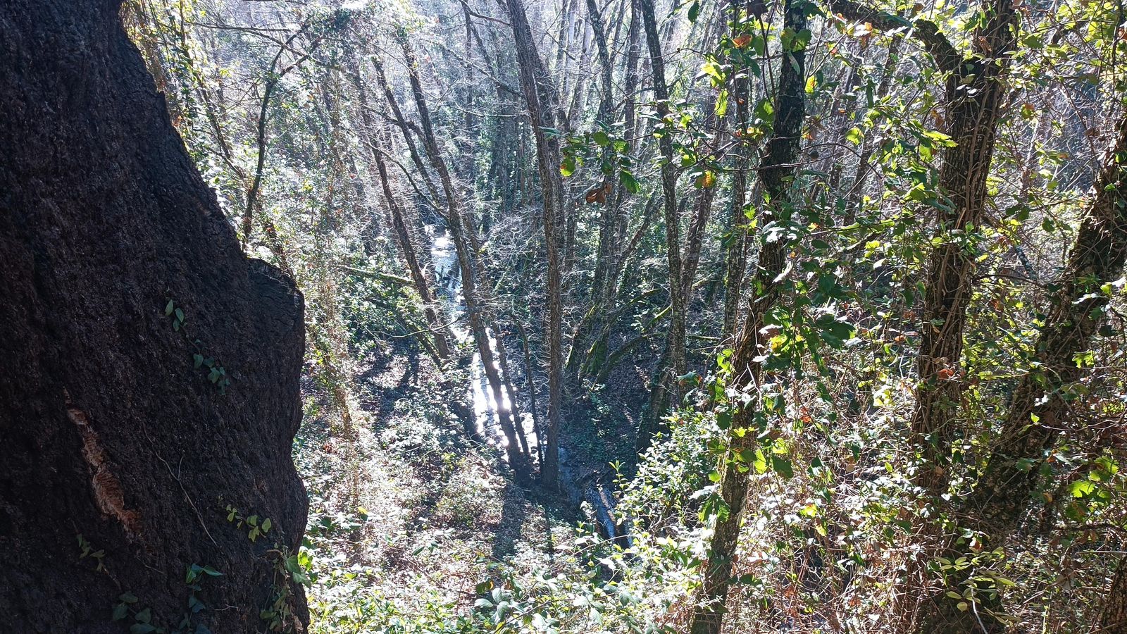 A la vuelta, el paisaje luce diferente por el cambio de luz.