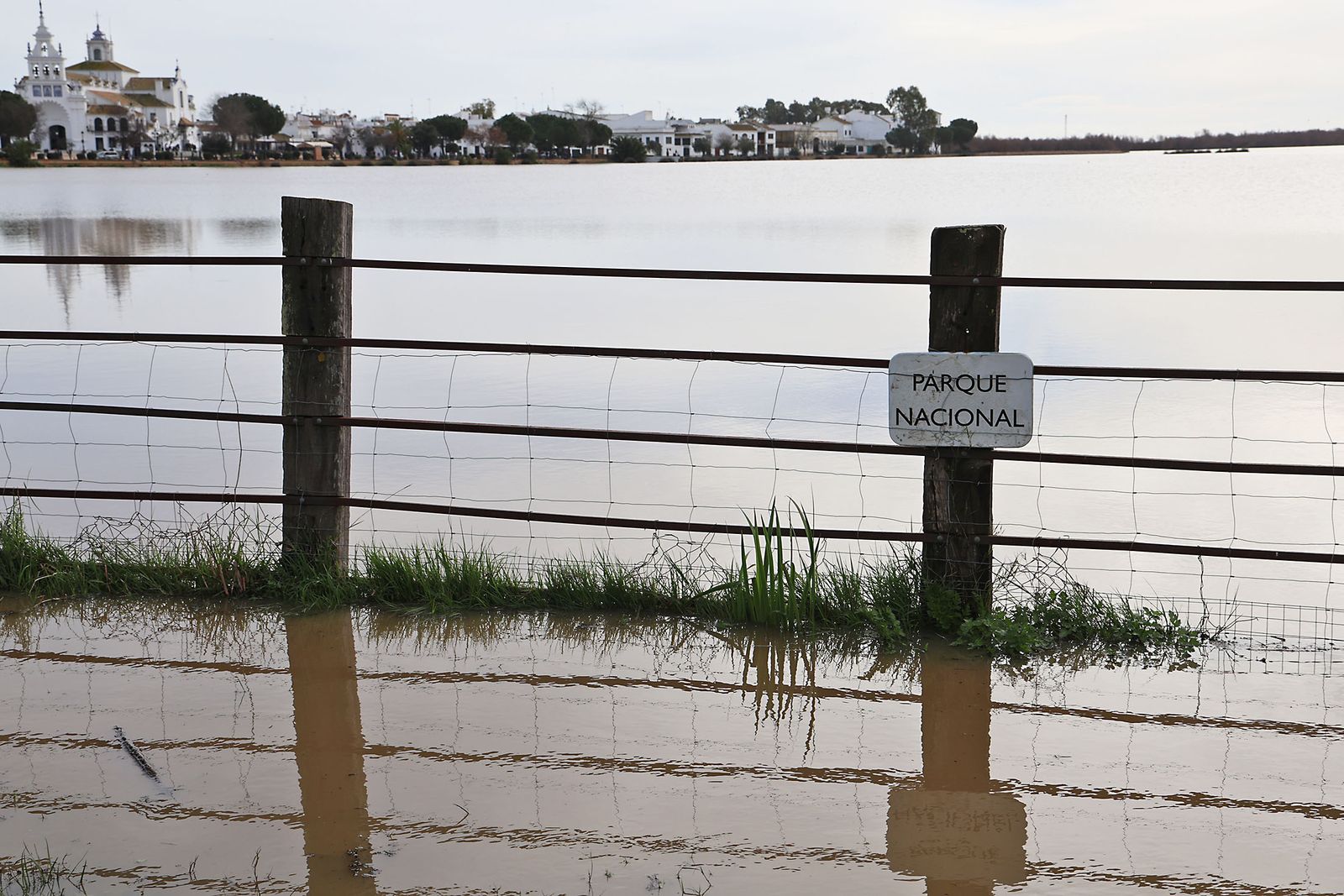 El estado de las marismas del Rocío tras el paso de la borrasca Marta