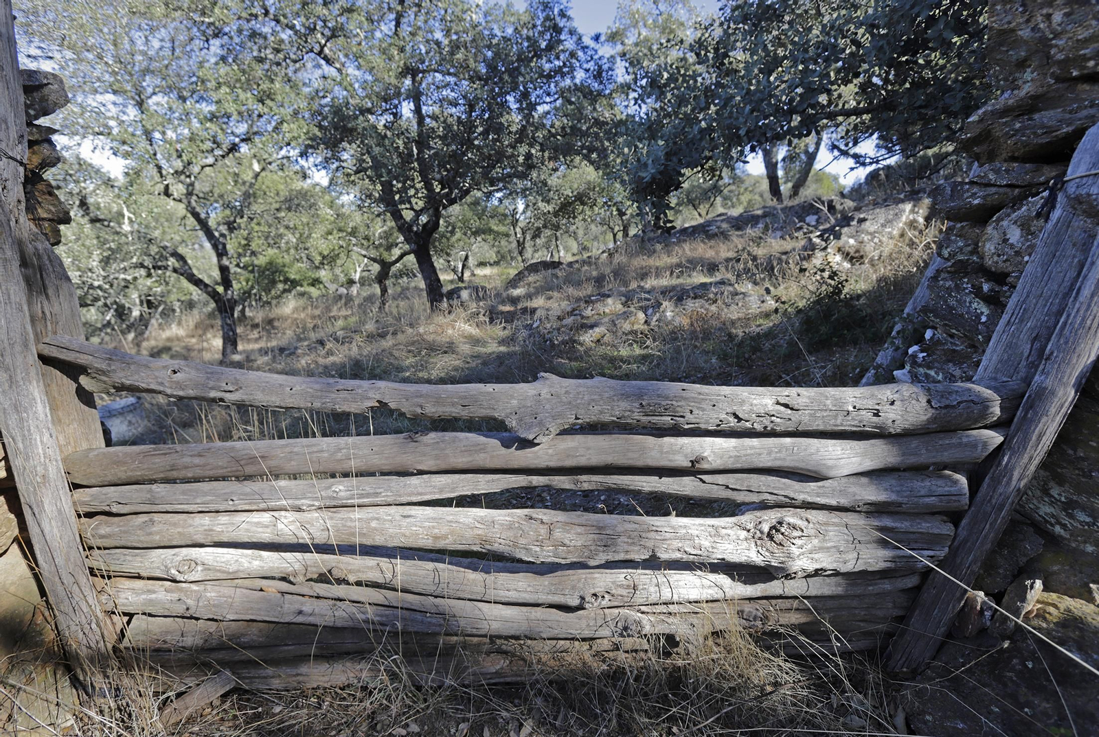 Ruta de Senderismo Charco Malo