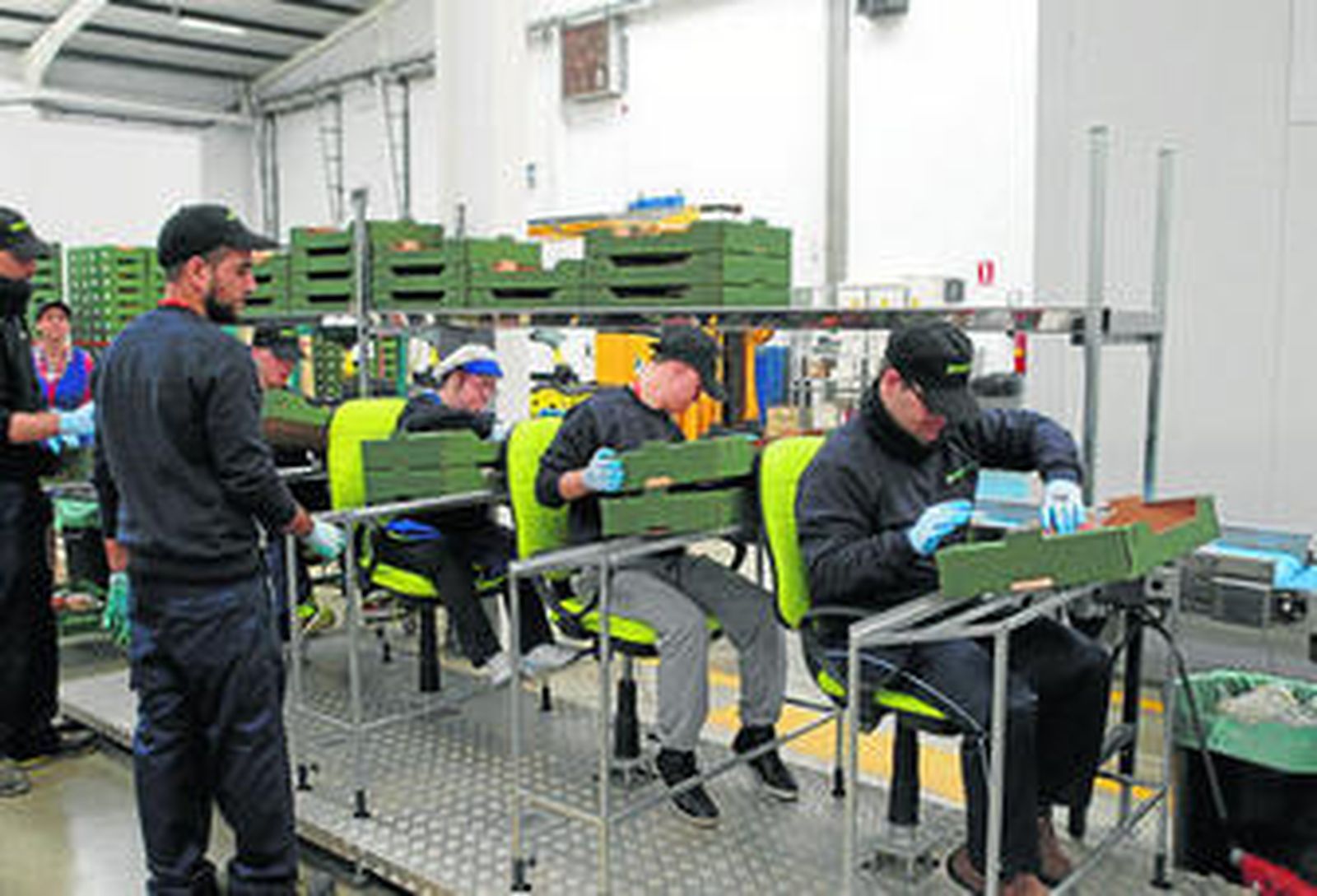 La cooperativa nijareña Biotec Family es ejemplo de responsabilidad social al contar con una línea de envasado integrada por jóvenes con síndrome de Down.