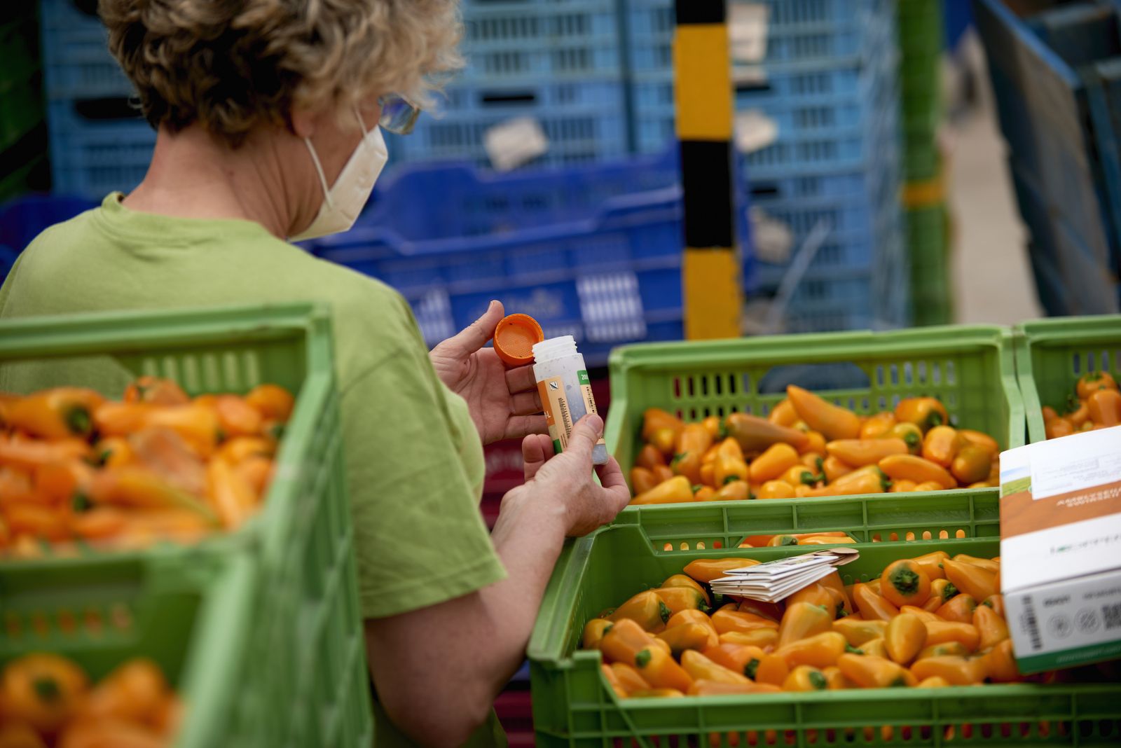 Las soluciones biológicas de Koppert contribuyen a los Objetivos de Desarrollo Sostenible de la ONU.