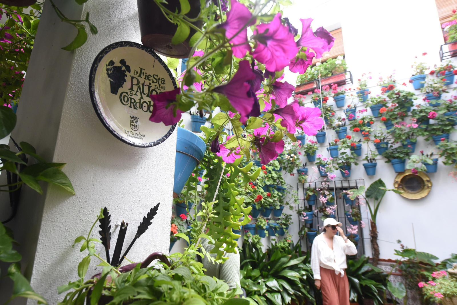 Una ruta en imágenes por los patios de la Judería y San Francisco