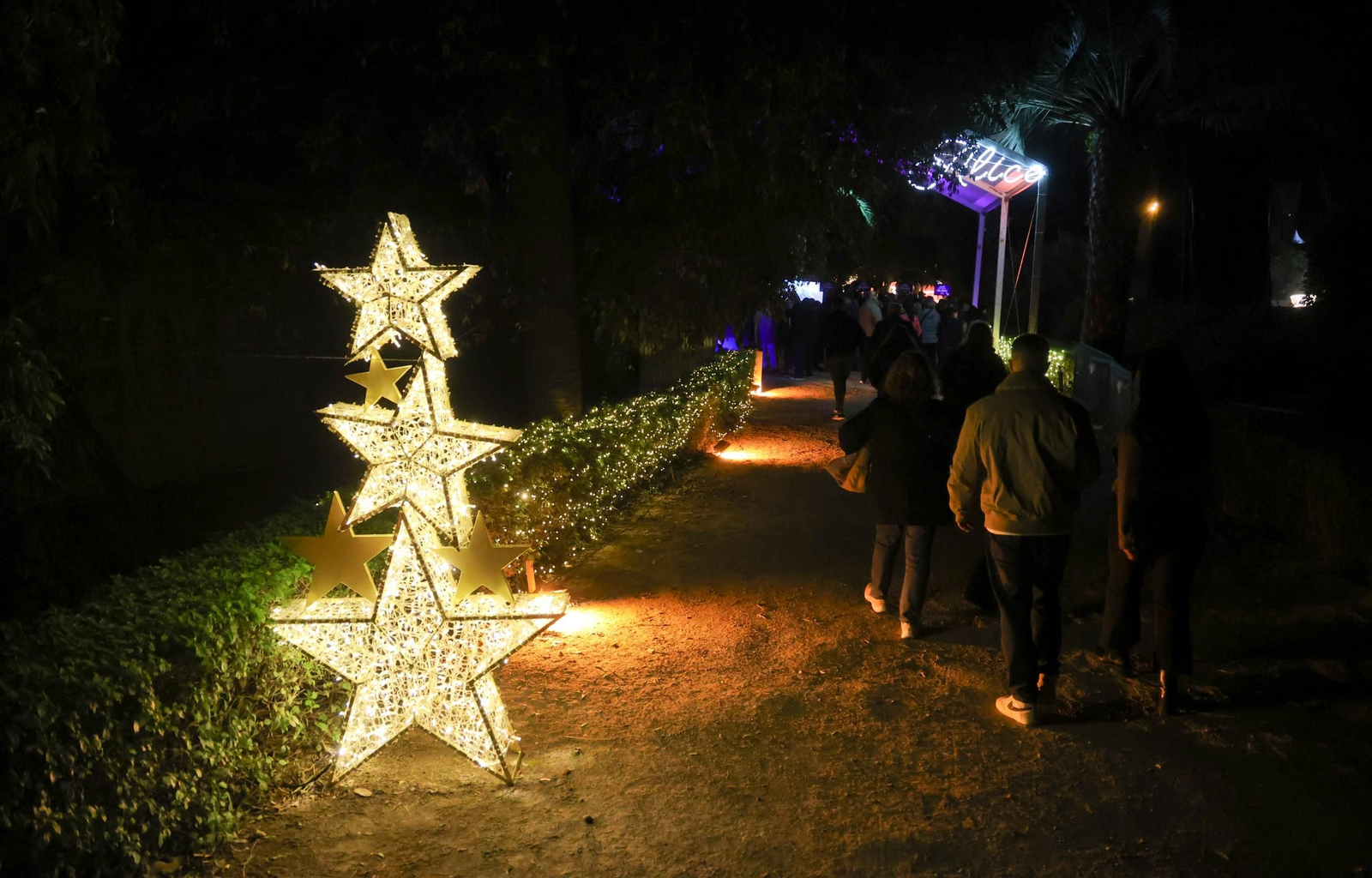 El espectaculo 'La Navidad en el Jardín de las Maravillas¡ en el Jardín Botánico, en imágenes