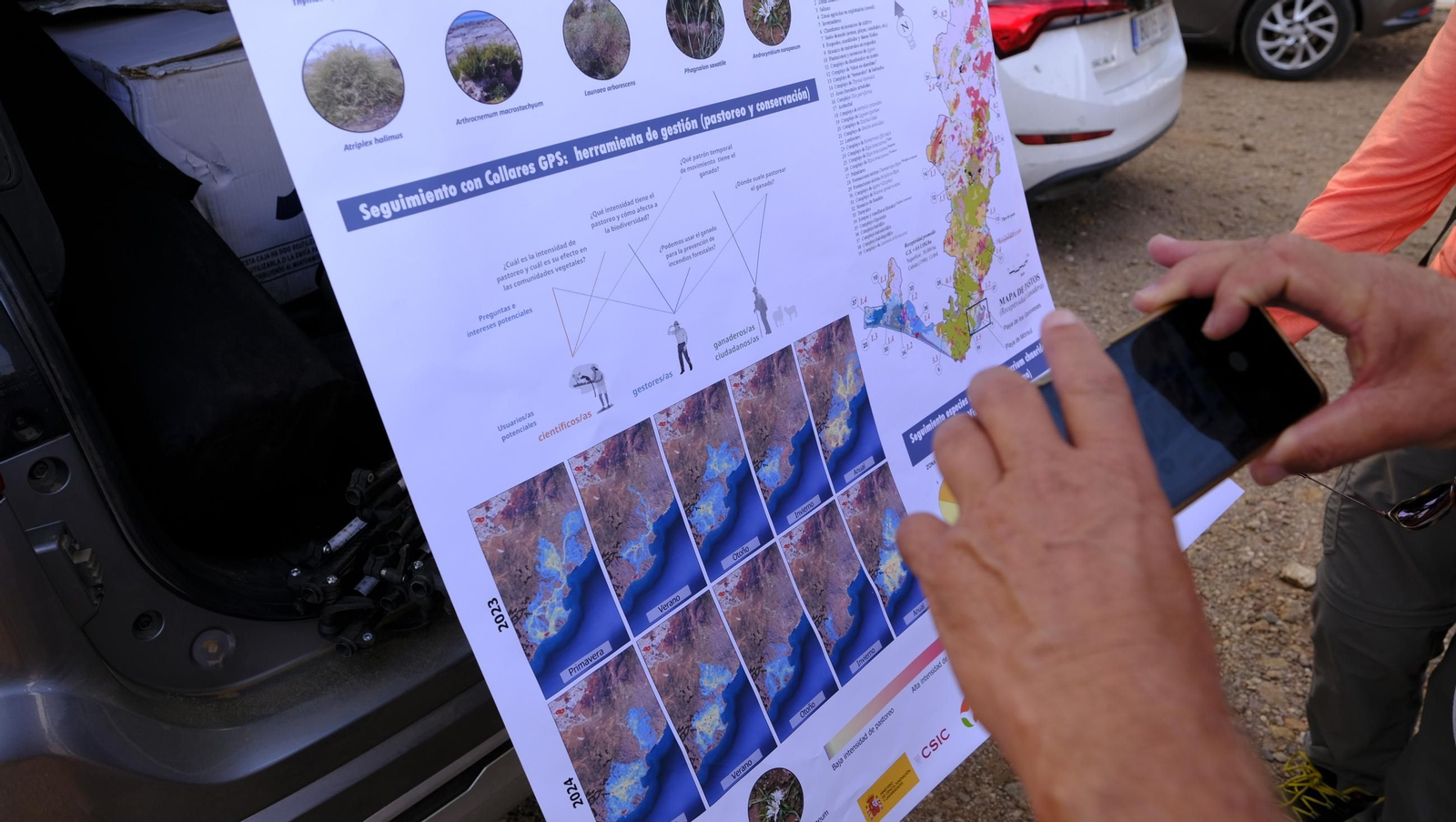 Recorrido por el cortijo El Romeral con 1200 cabras celtibéricas, en imágenes