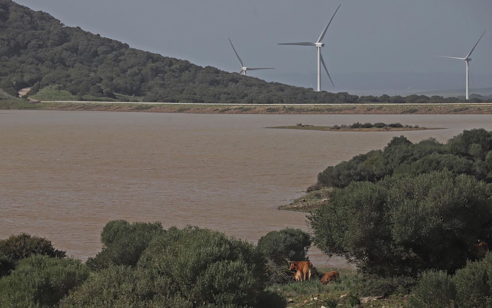 Fotos del embalse de Almodóvar en Tarifa