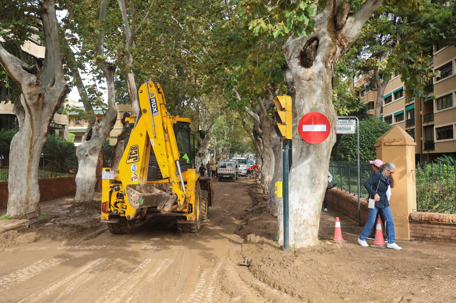 1411trasdana79.JPG (9683768).jpg