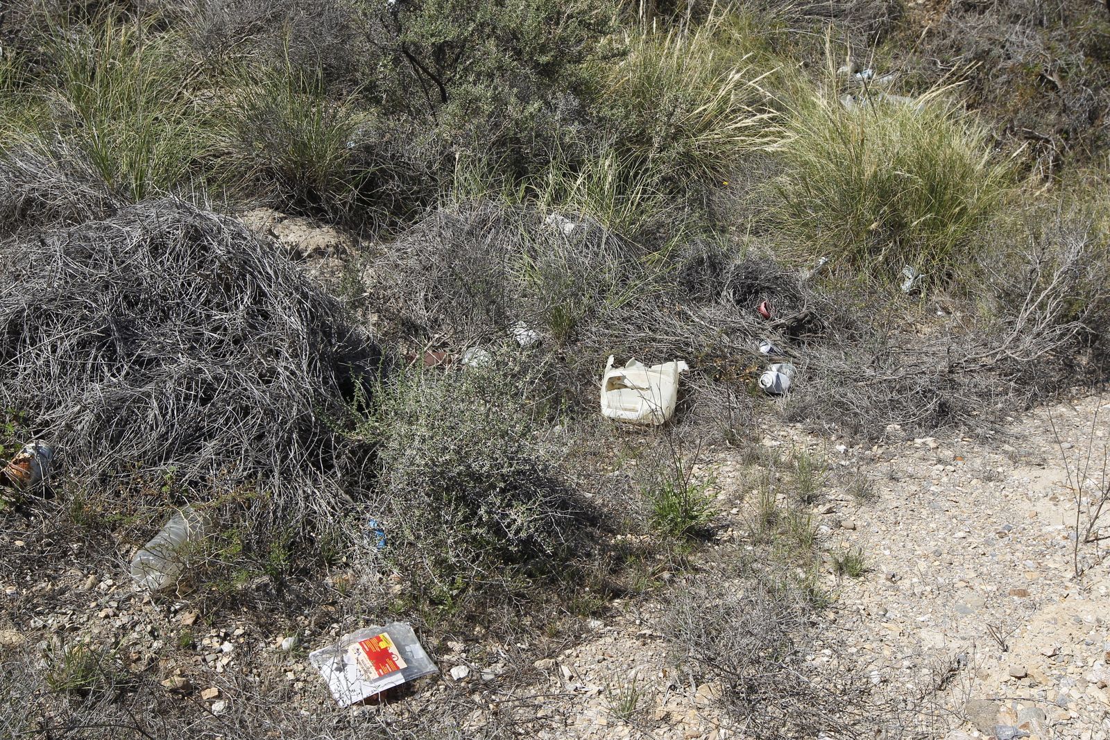 Fotogalería basura en el Desierto de Tabernas