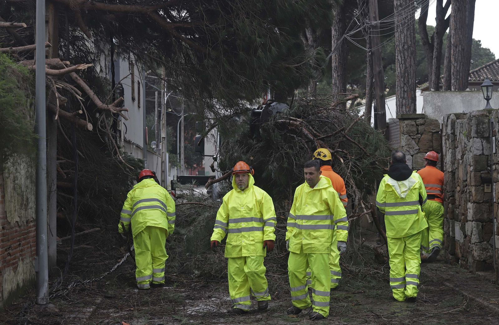 24 horas sin electricidad en la urbanización Los Pinos por árboles caídos tras la borrasca Kristin, en imágenes