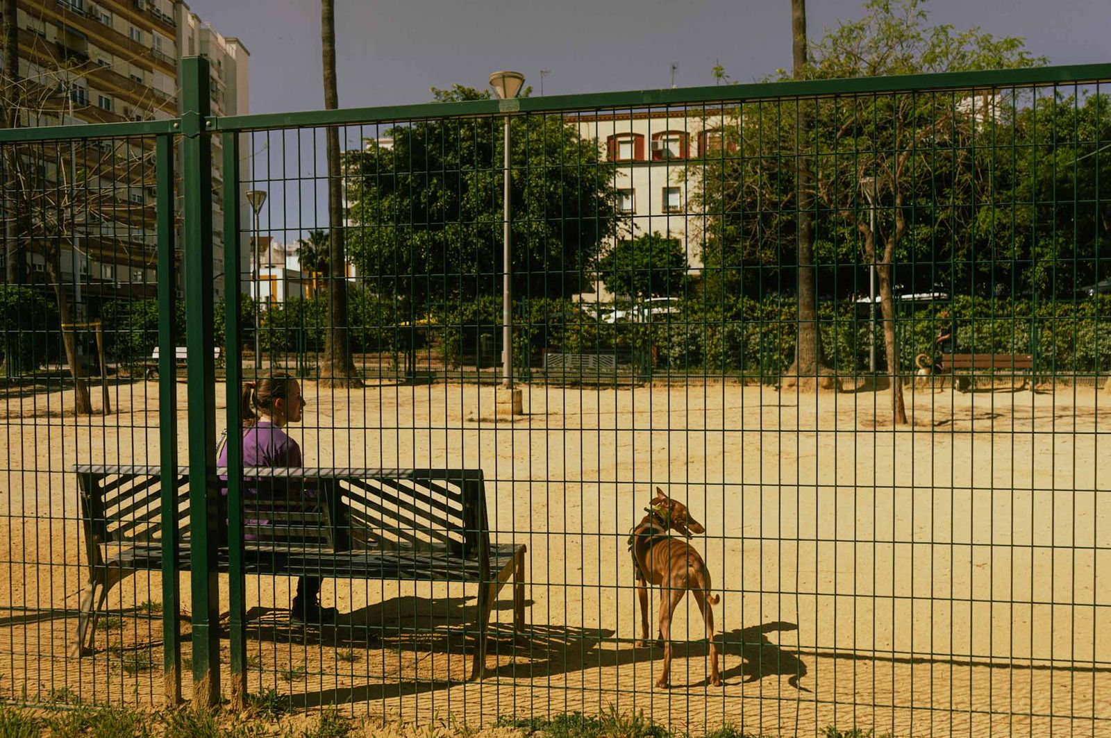 Las imágenes más destacadas del miércoles 30 de abril en Huelva