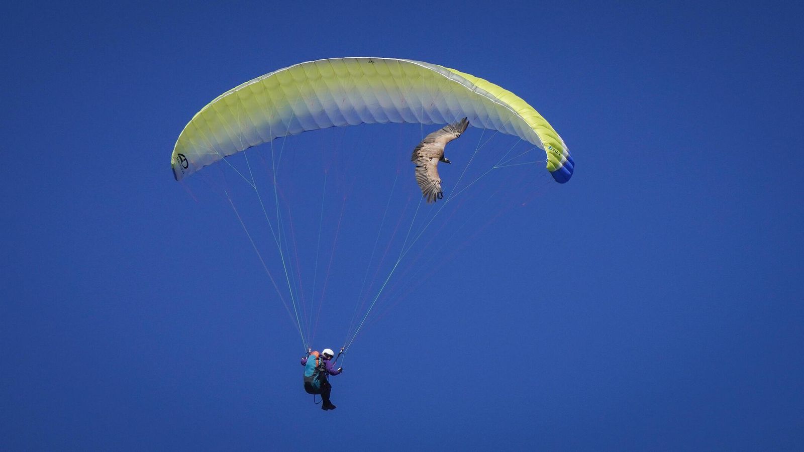 Un parapentista tras despegar de El Bosque