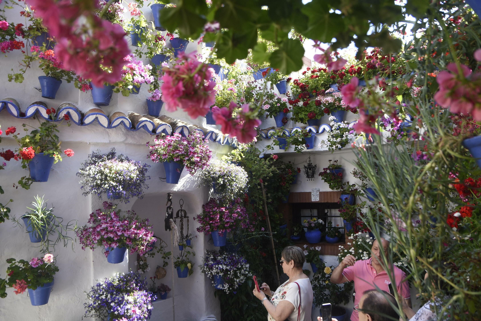 En imágenes: la ruta de los Patios del Alcázar Viejo