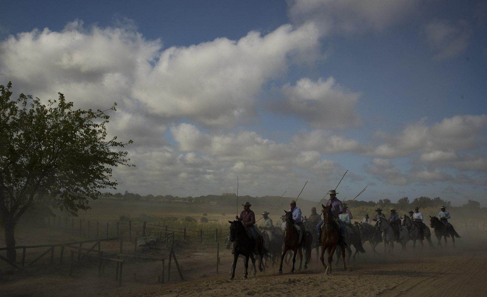 La Saca de las Yeguas, en imágenes