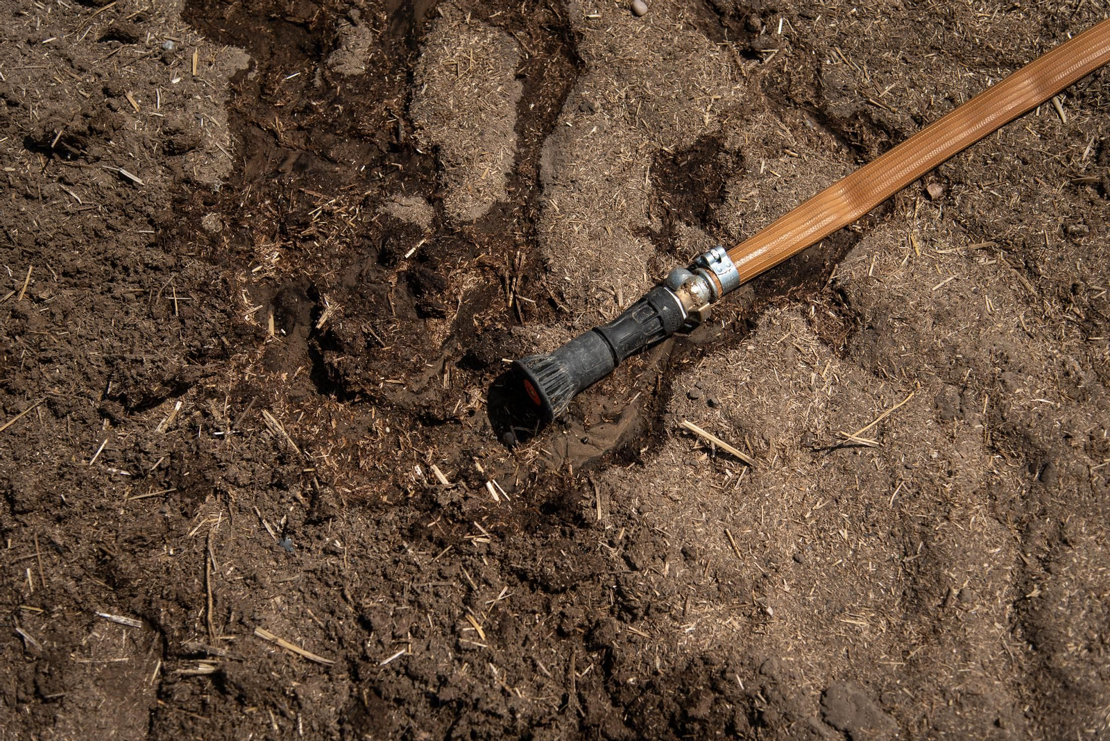 Imágenes de los destrozos causados por el incendio de Lucena del Puerto