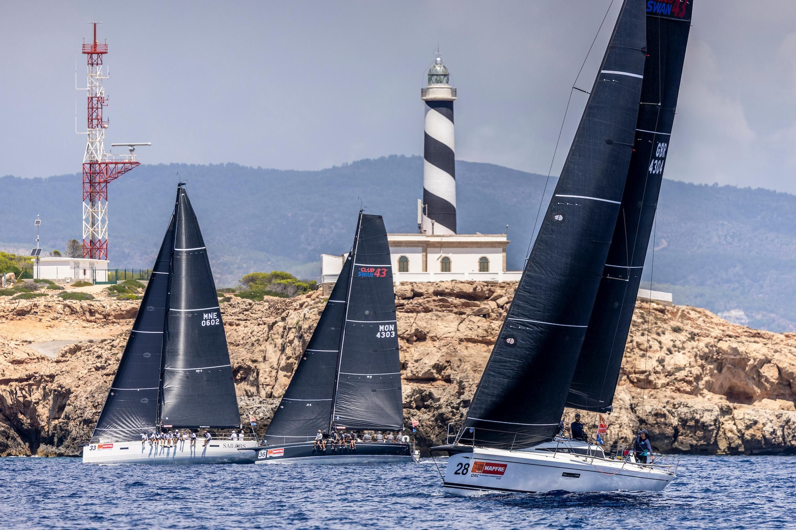 ORCA A Vela Regata (12).jpg