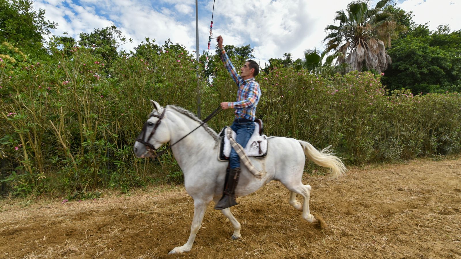 Las fotos de la Feria de Castellar