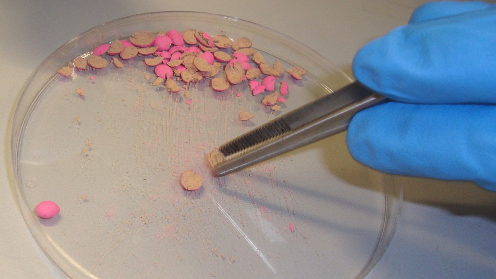 Trabajo con semillas