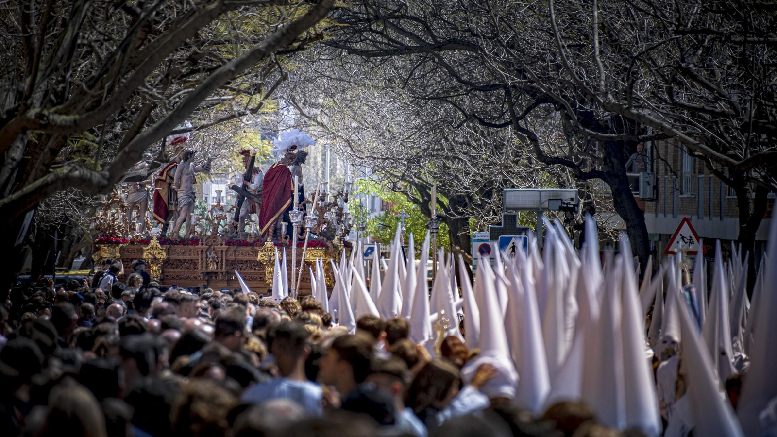 Imágenes de la salida del Despojado en la Semana Santa de Cádiz 2025