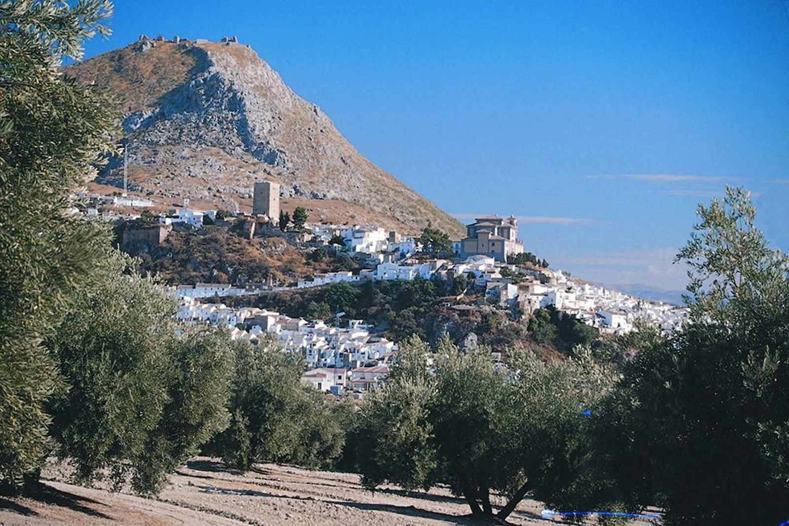 Descubre Martos con una ruta a pie por la 'cuna del olivar jiennense'