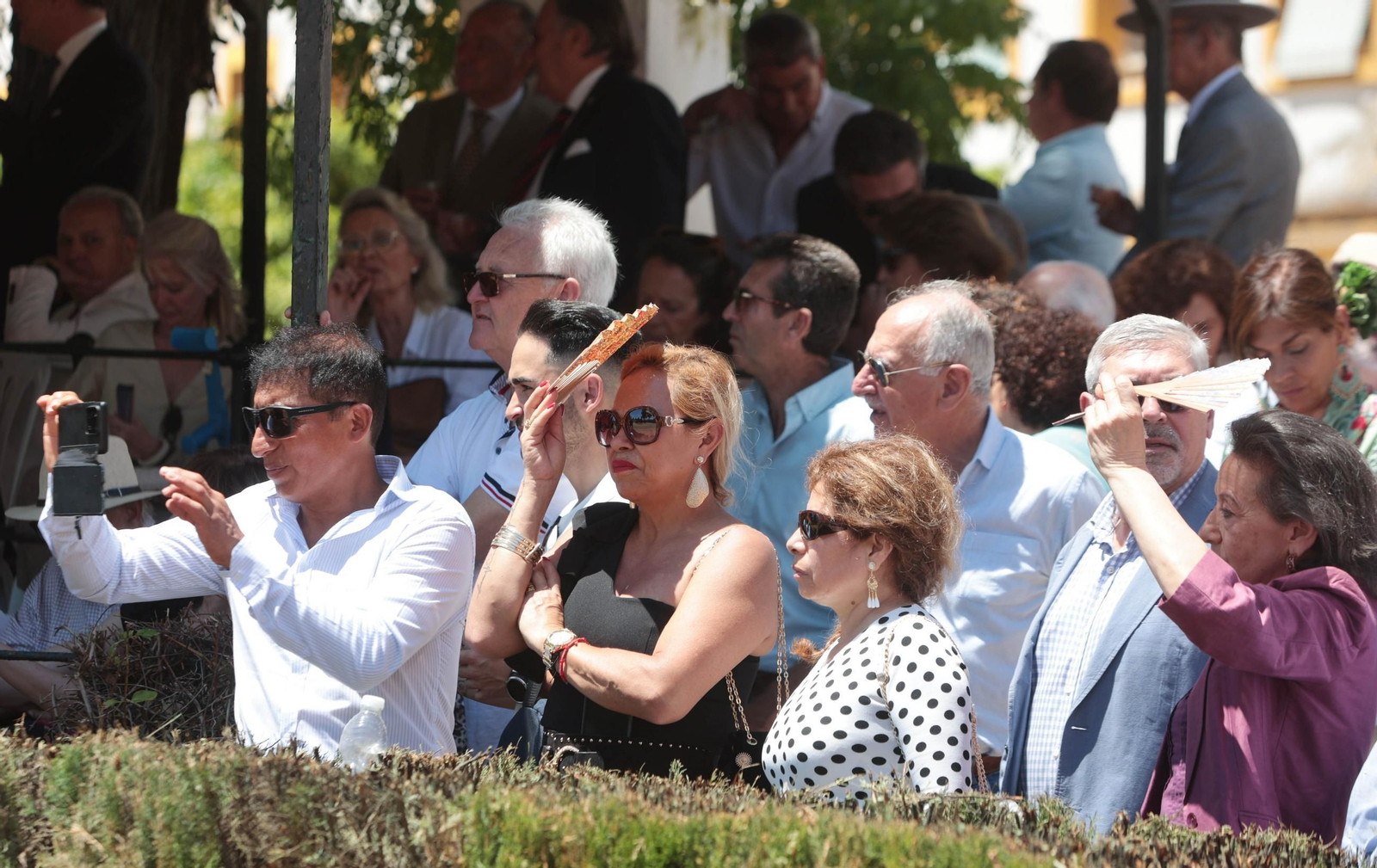 Entrega del Caballo de Oro Jerez 2024 a Francisco Dorante