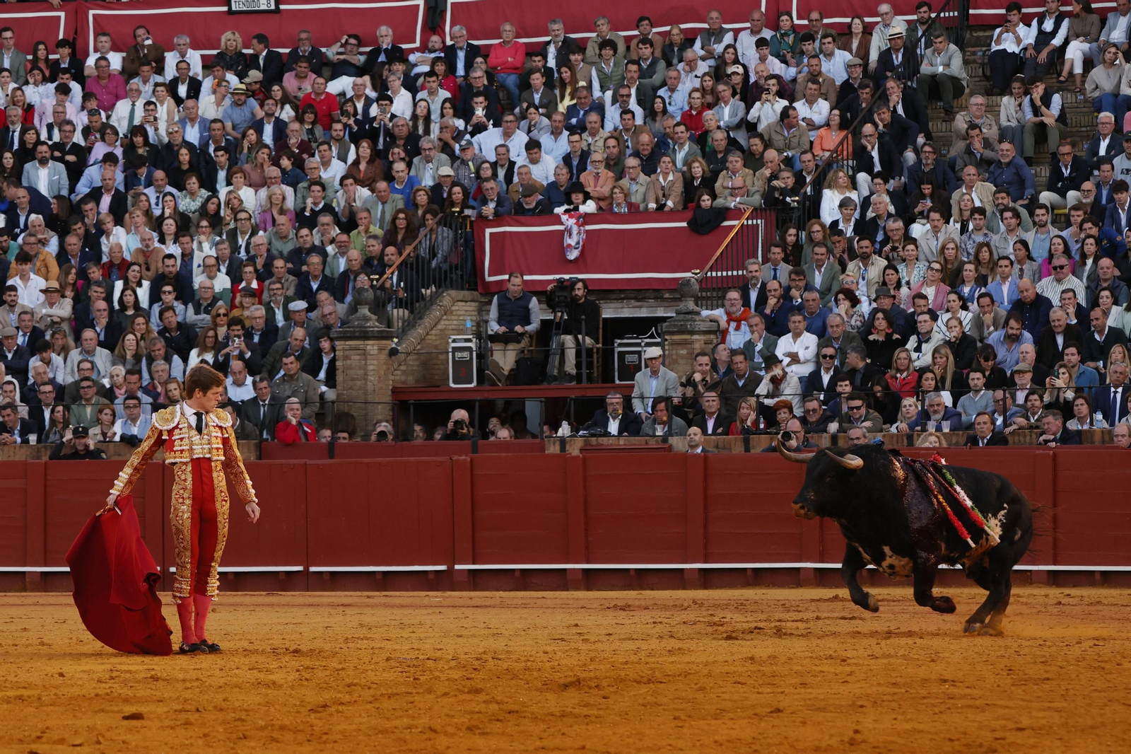 Las imágenes del festejo