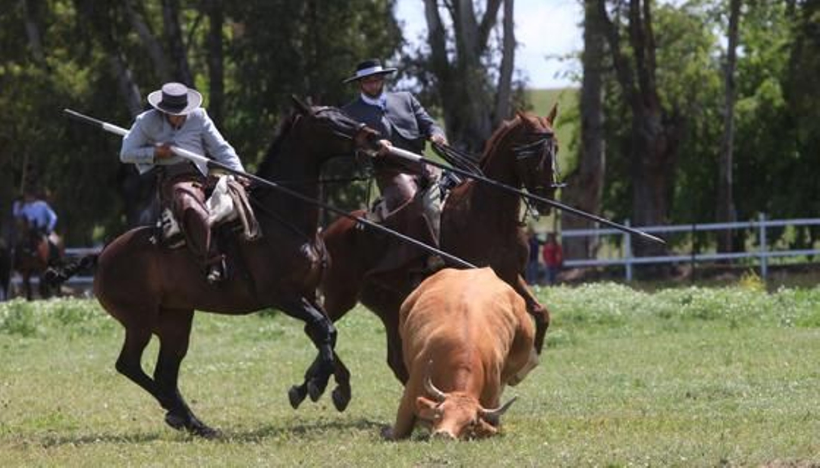Los jerezanos Tomás y Felipe Morenés se hicieron con un trofeo reñido en un escenario muy recuperado de la lluvia.

Foto: Vanesa Lobo