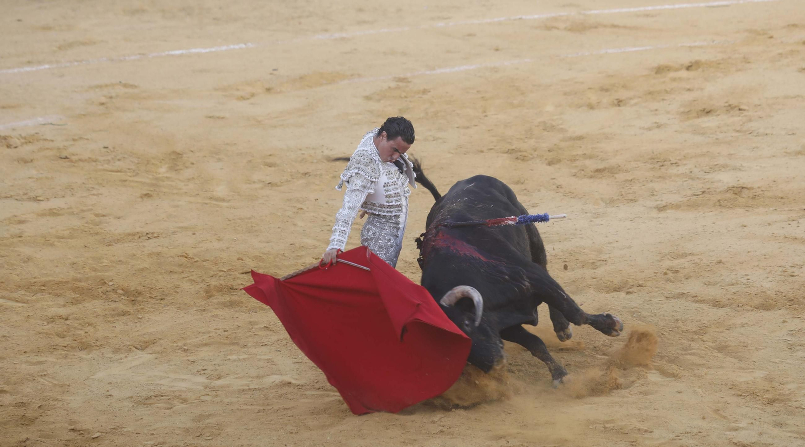 Las fotos de la corrida de toros de David Galván, Daniel Luque y Joaquín Galdós en San Roque